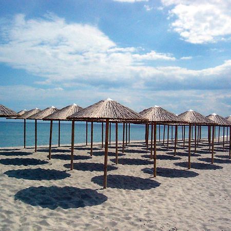 Hotel White Rose Beach Olympiakí Aktí エクステリア 写真